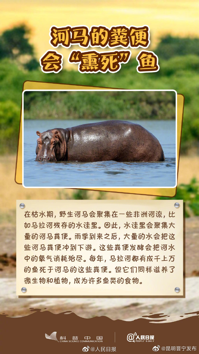 昆明晋宁发布