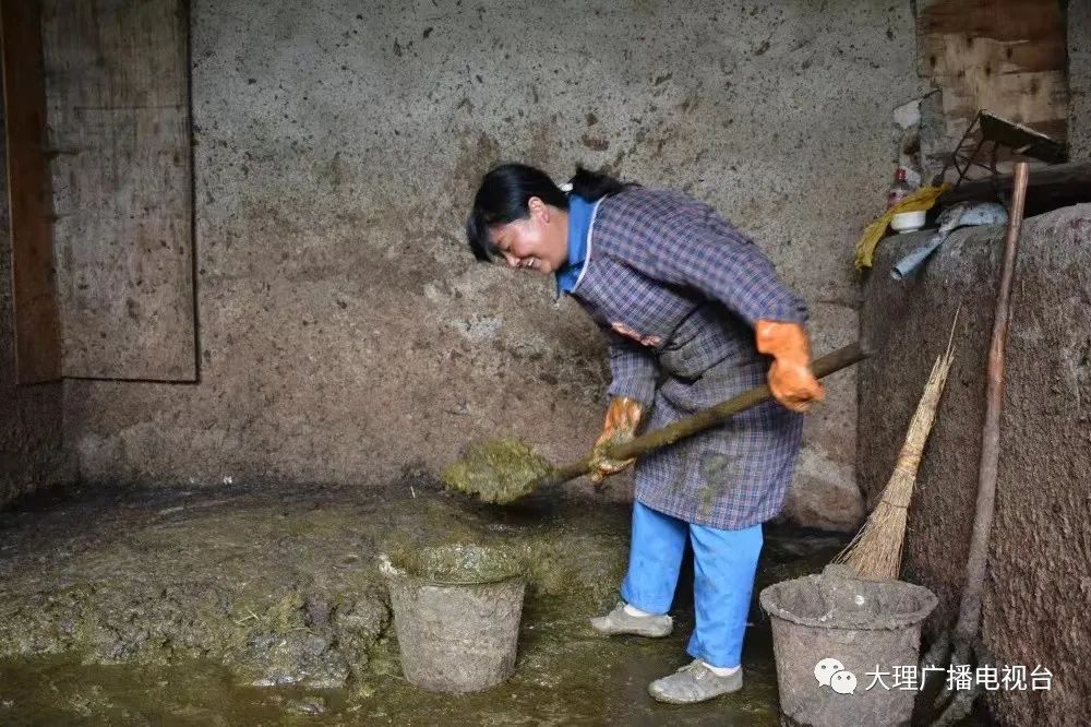大理电视台