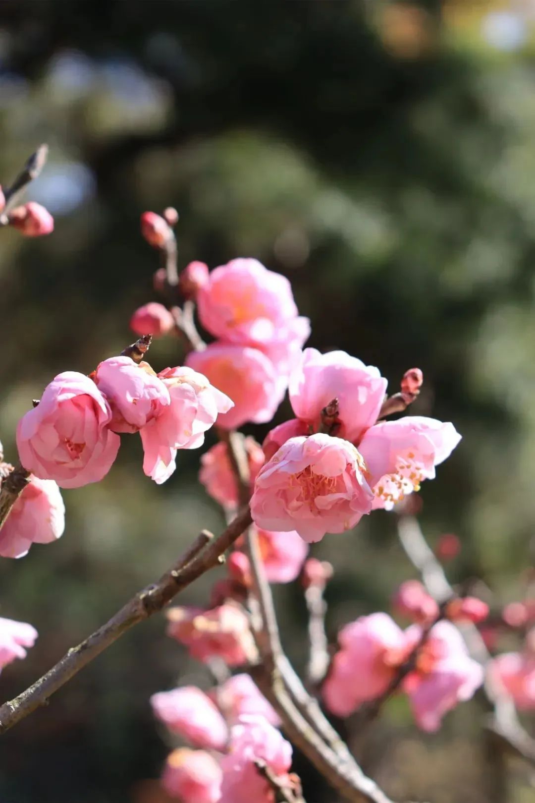 昆明文旅