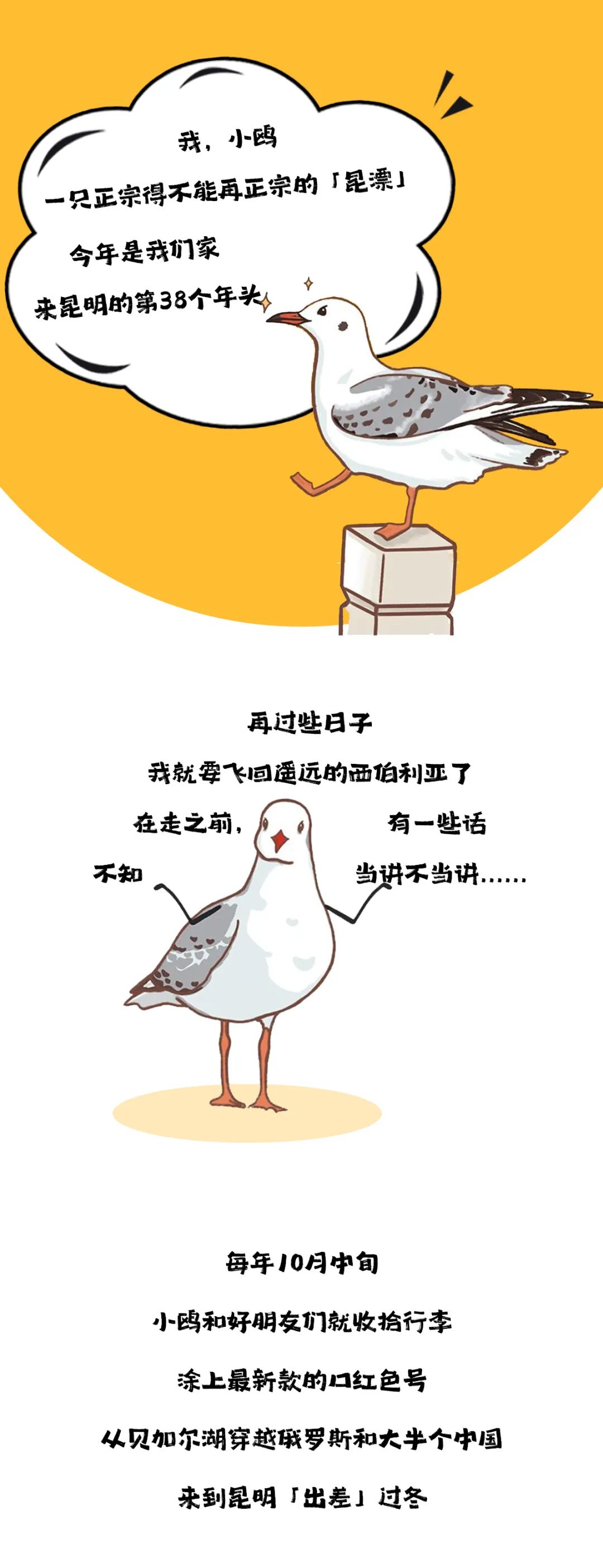 滇池度假发布