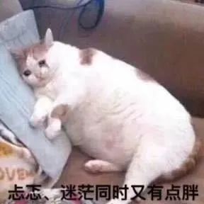保山新闻网