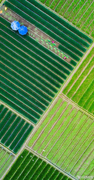 “云南发布”微博