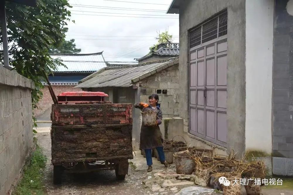 大理电视台