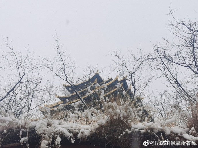 呈贡发布
