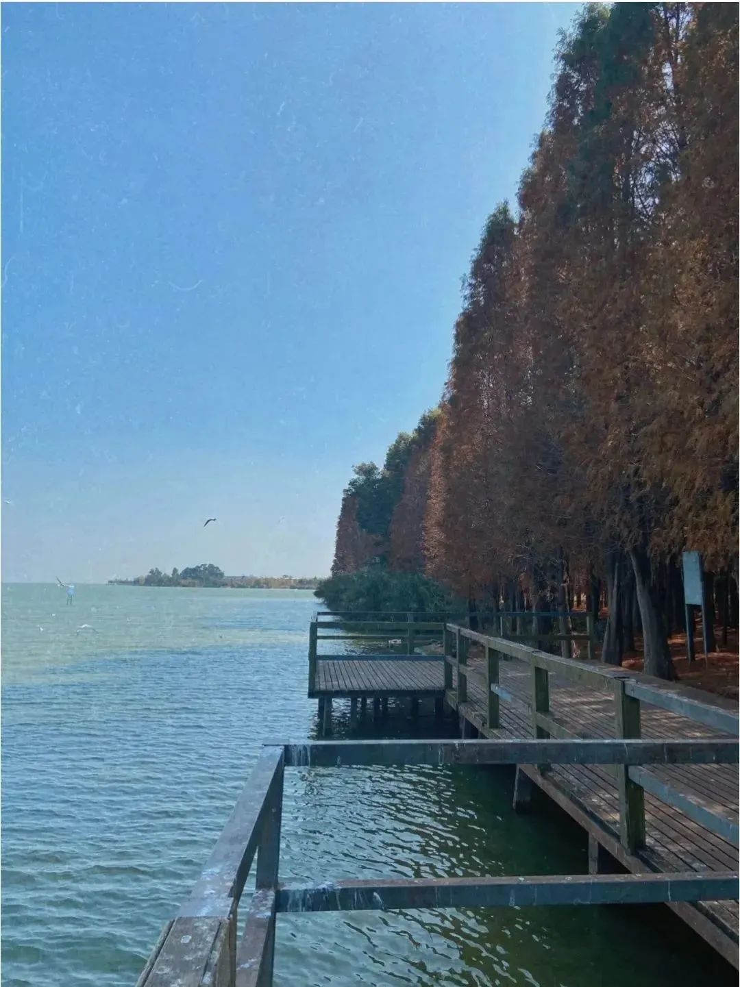 昆明文旅