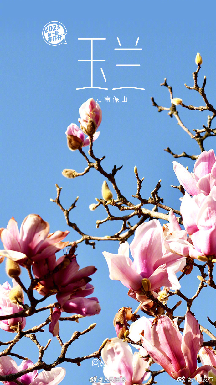 “云南发布”微博