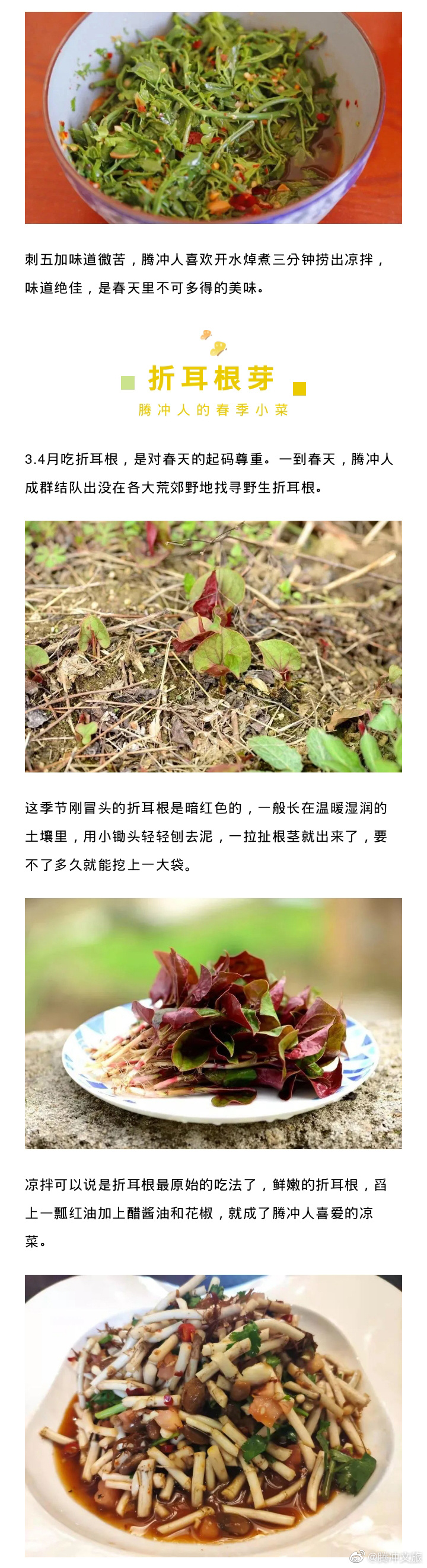 腾冲文旅微博