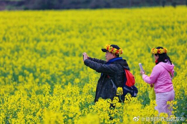 昆明市西山区发布