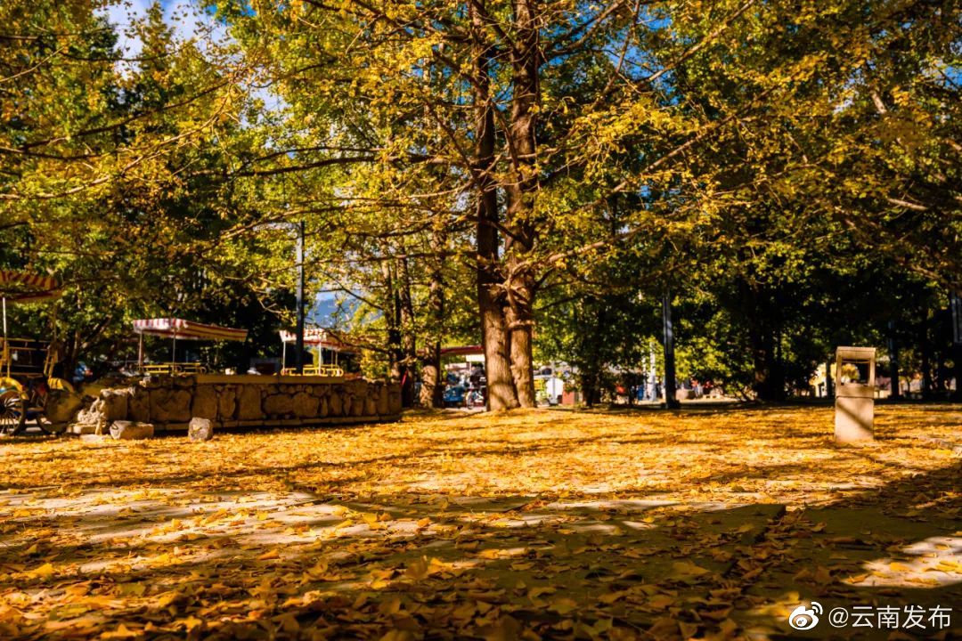 “云南发布”微博