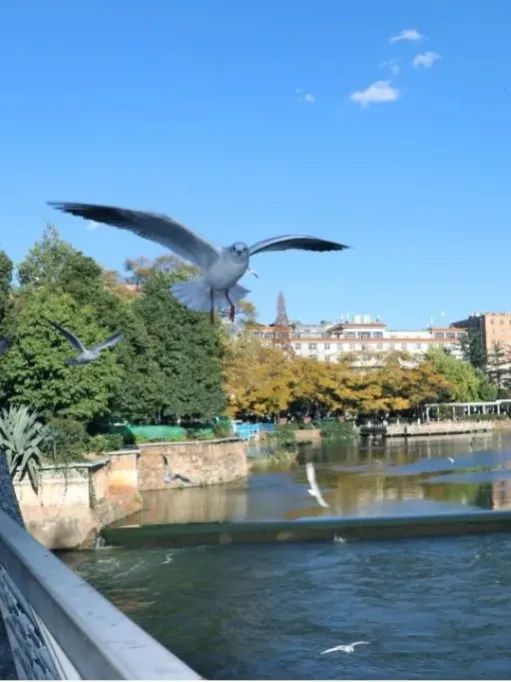 昆明文旅