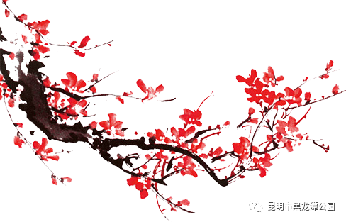 昆明市黑龙潭公园