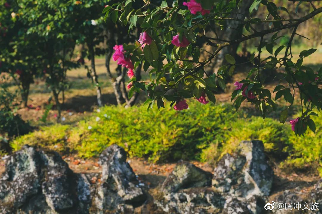 腾冲文旅微博