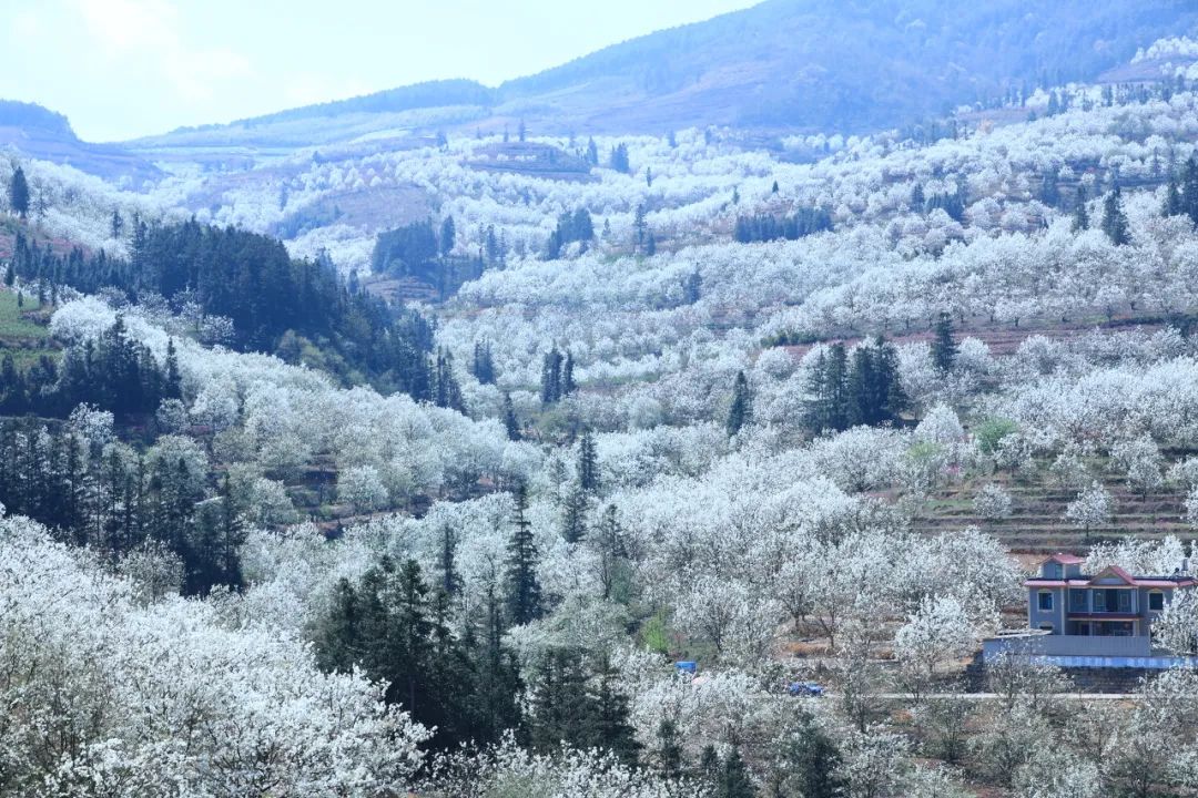 一部手机游云南