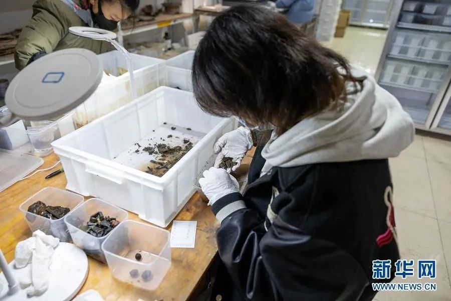 美丽云南微科普