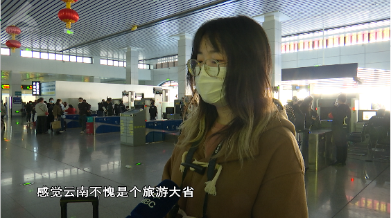 掌上春城