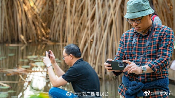 呈贡发布