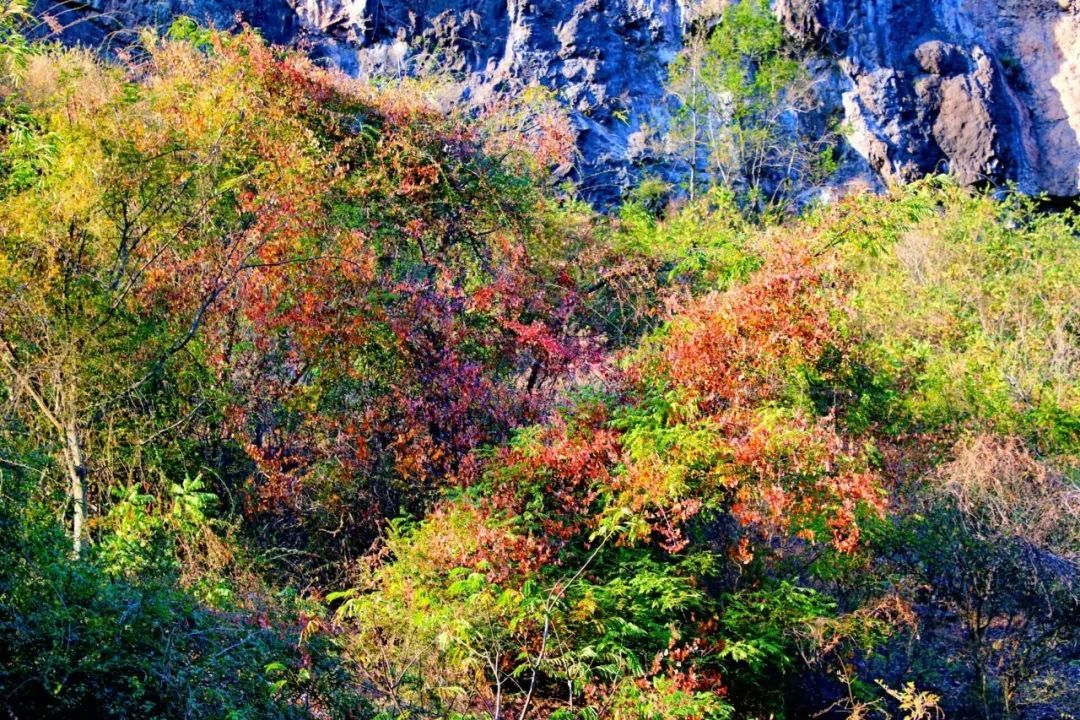 云南省文化和旅游厅