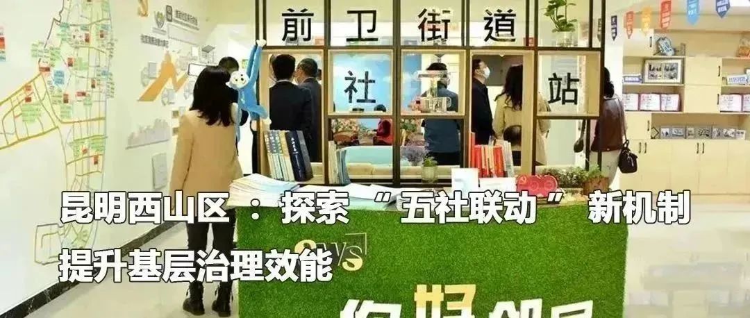 云南政法
