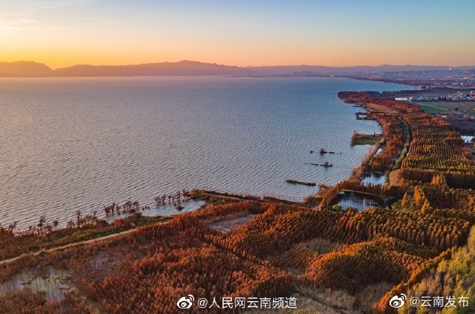 “云南发布”微博
