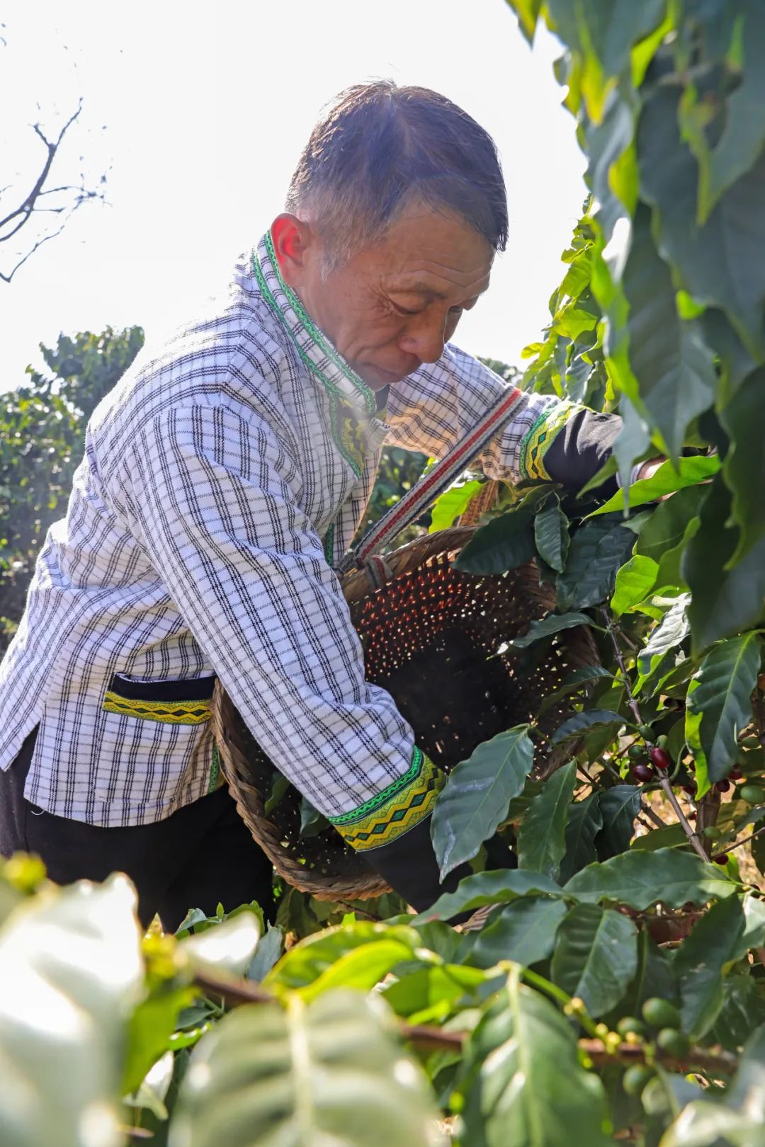 一部手机游云南