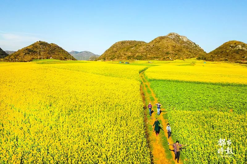 掌上春城