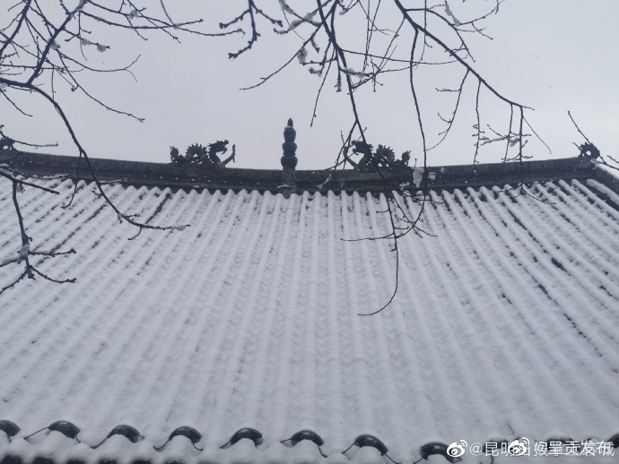 呈贡发布