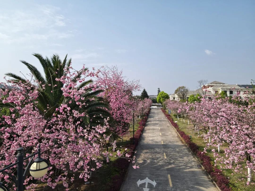 云南省传染病医院
