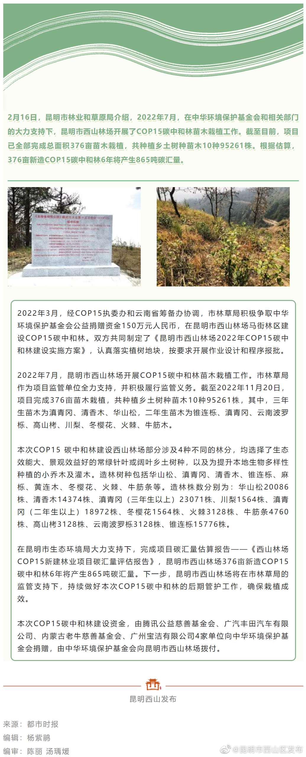 擦亮生态文明底色！昆明西山林场建成376亩碳中和林