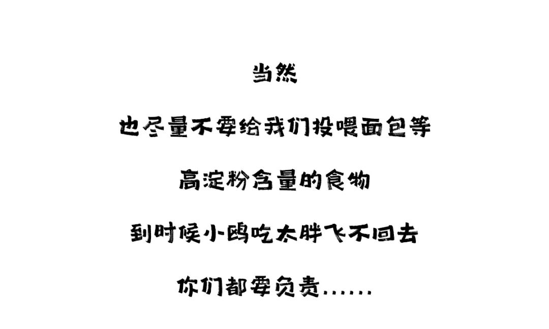 滇池度假发布