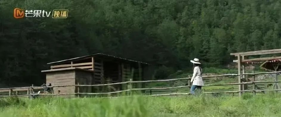 大理电视台