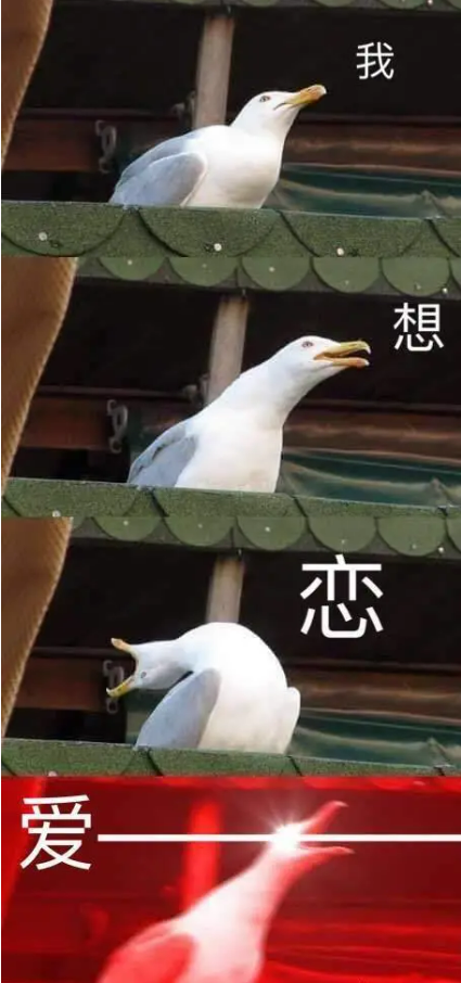 宜良之窗