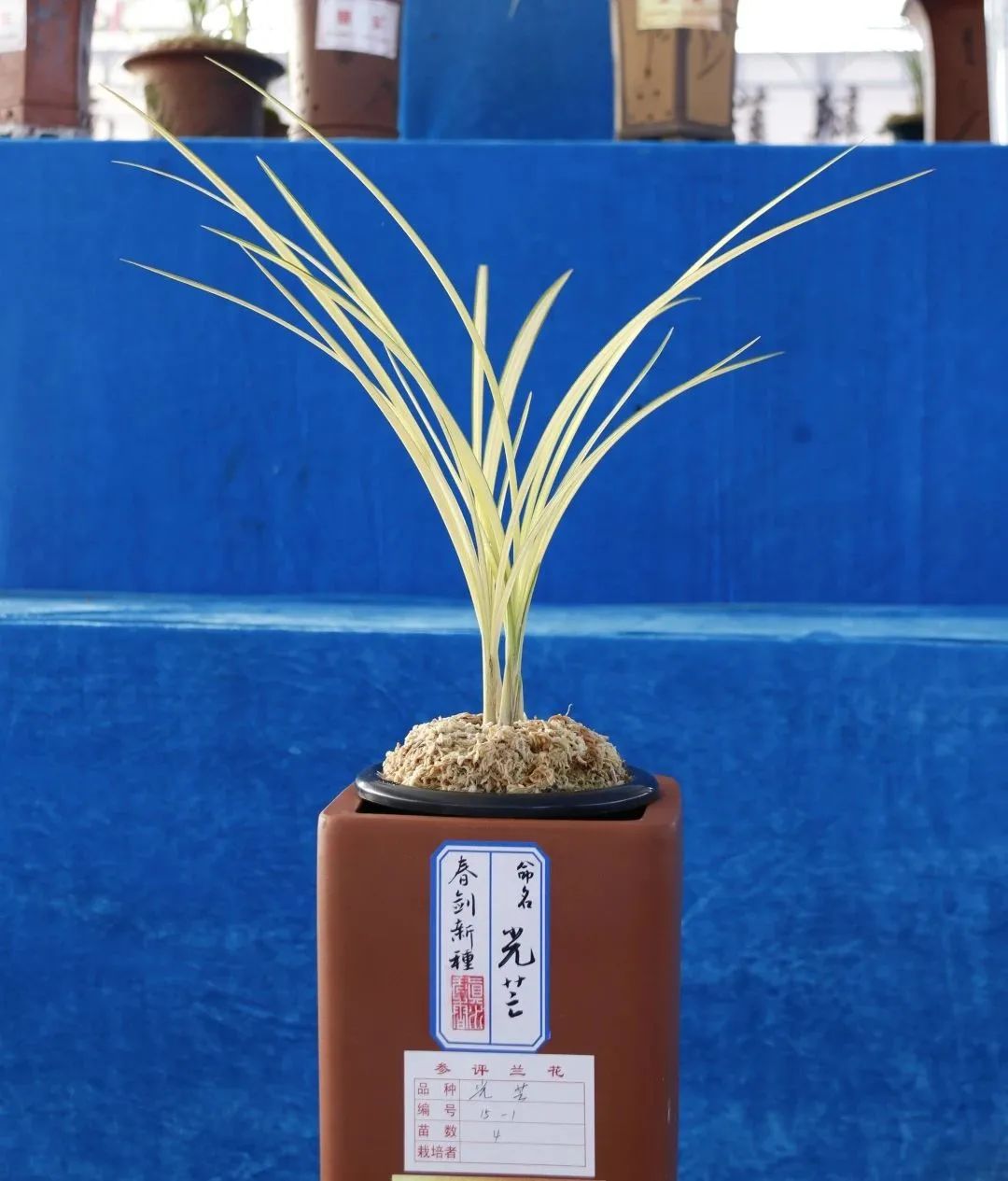 保山新闻网