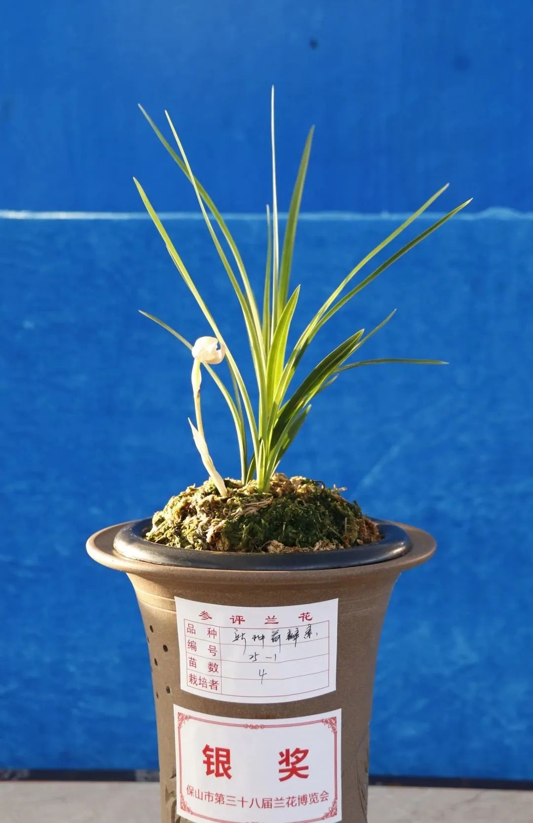 保山新闻网