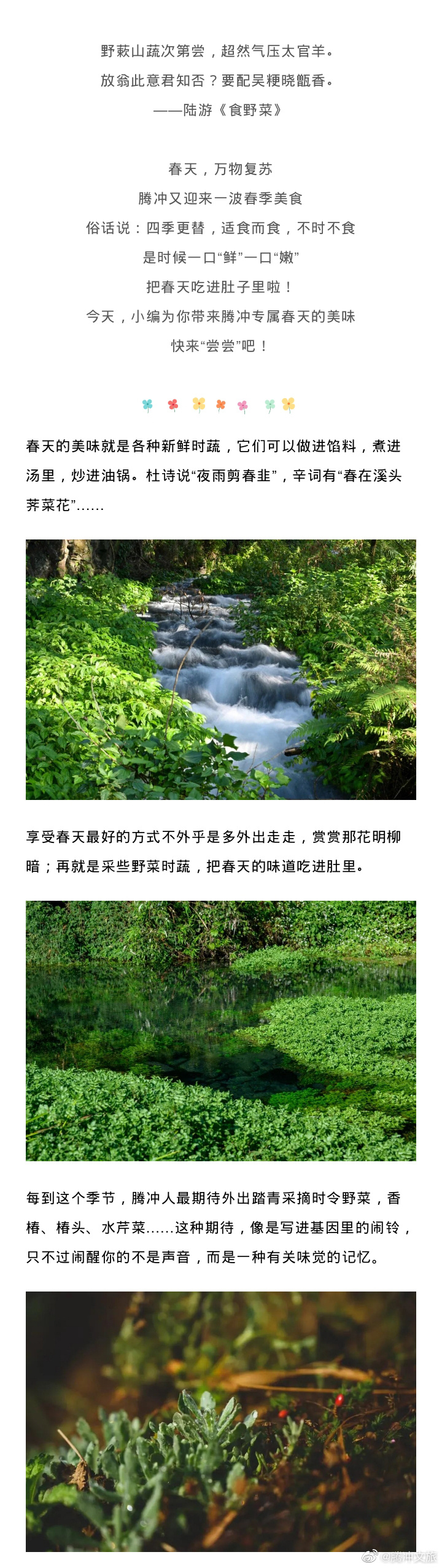 腾冲文旅微博