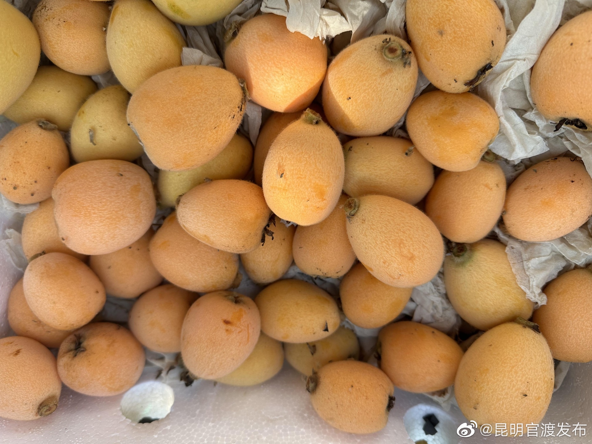 “昆明官渡发布”微博