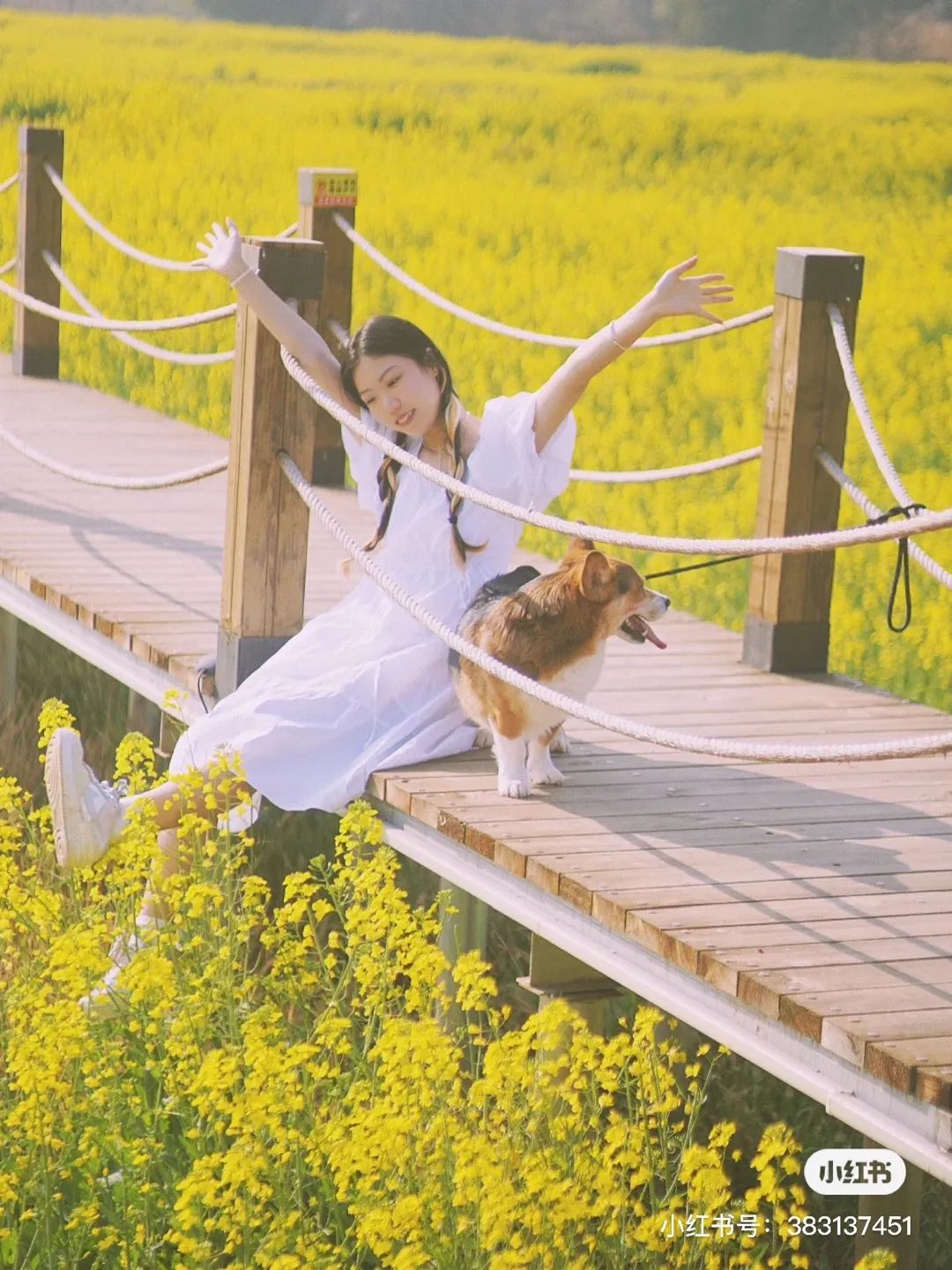 一部手机游云南