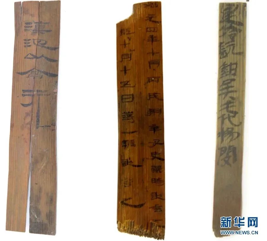 美丽云南微科普