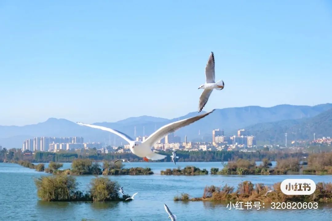 一部手机游云南
