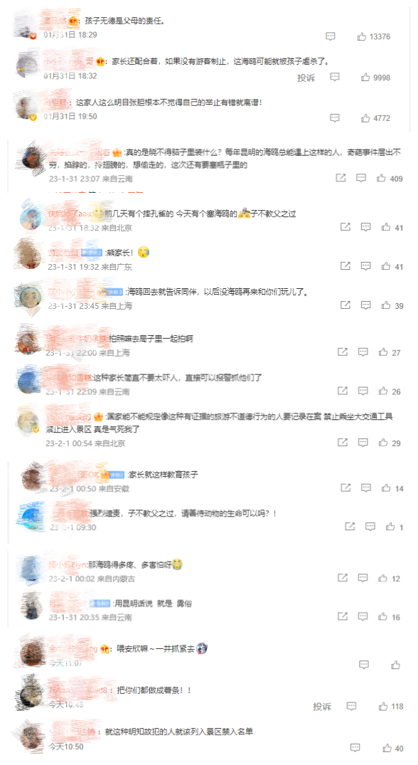 掌上春城