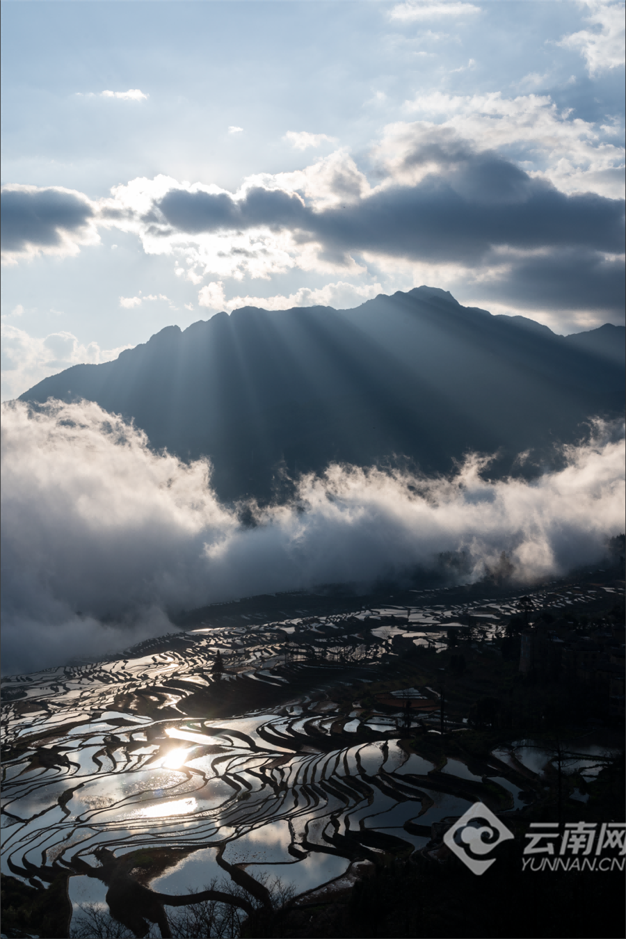 云南省文化和旅游厅