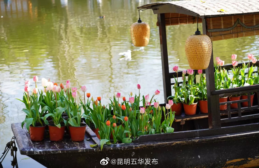 昆明五华发布