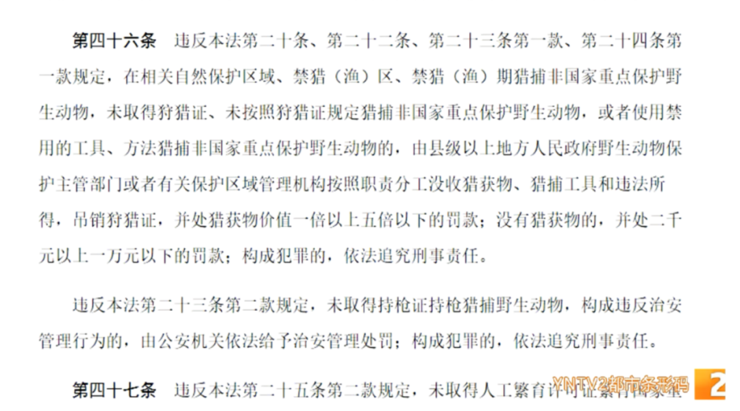 云南法制报