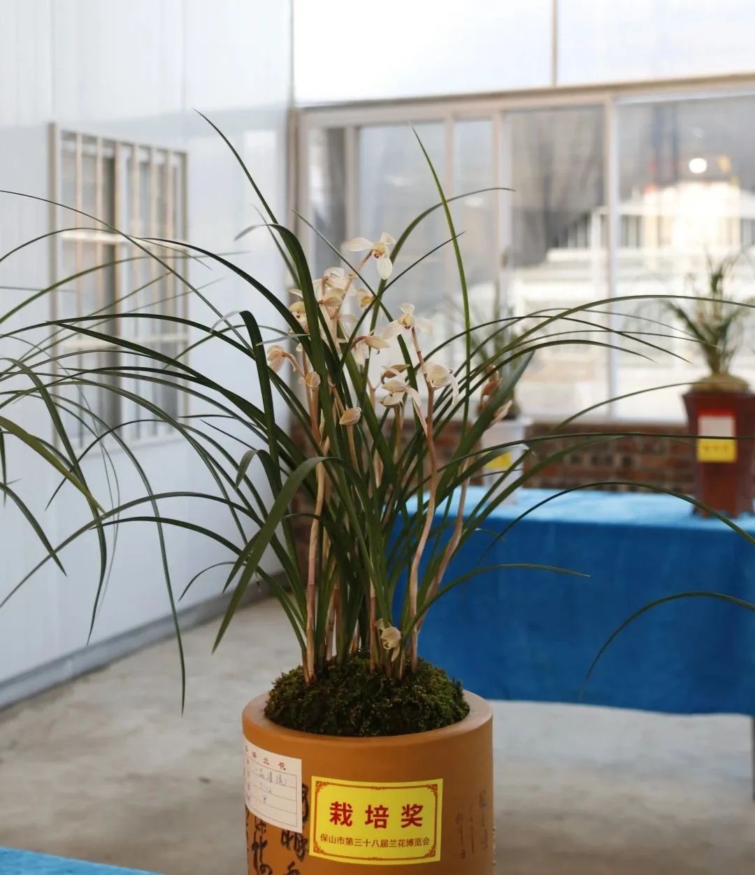 保山新闻网