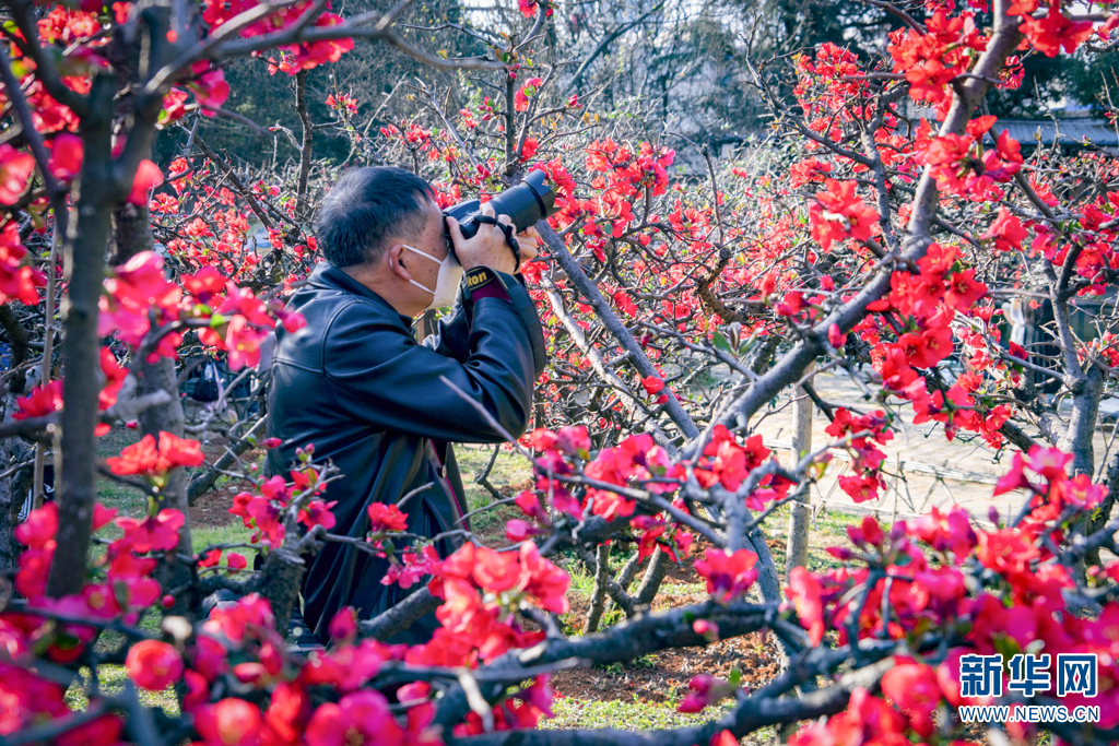 云南省文化和旅游厅