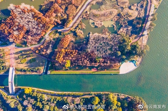 “云南发布”微博
