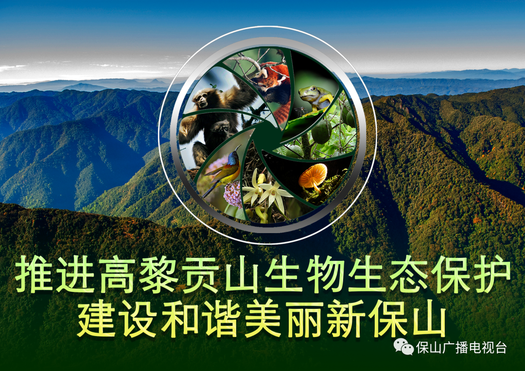 保山广播电视台