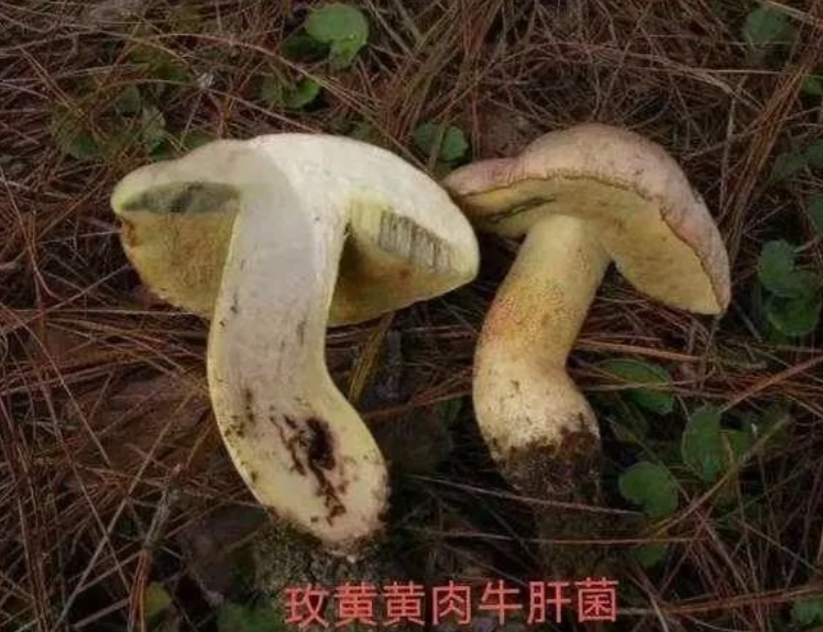 云南疾控