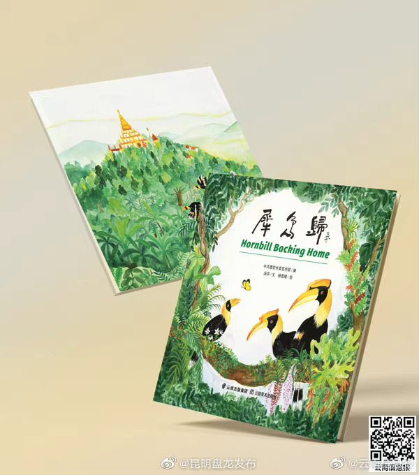 书评|《犀鸟归》诠释和声之美、生态之美