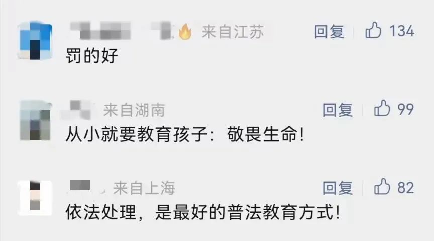 云南依法治省