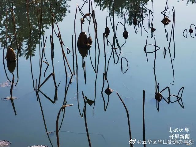 五华区华山街道办事处